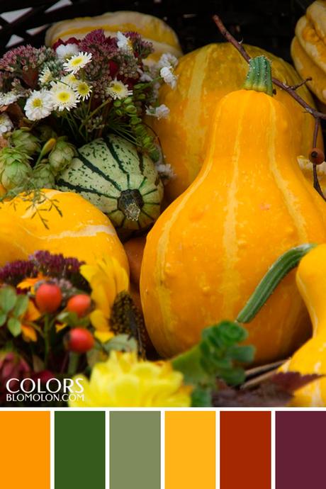 Paletas De Colores 19 Variedad De Temporada