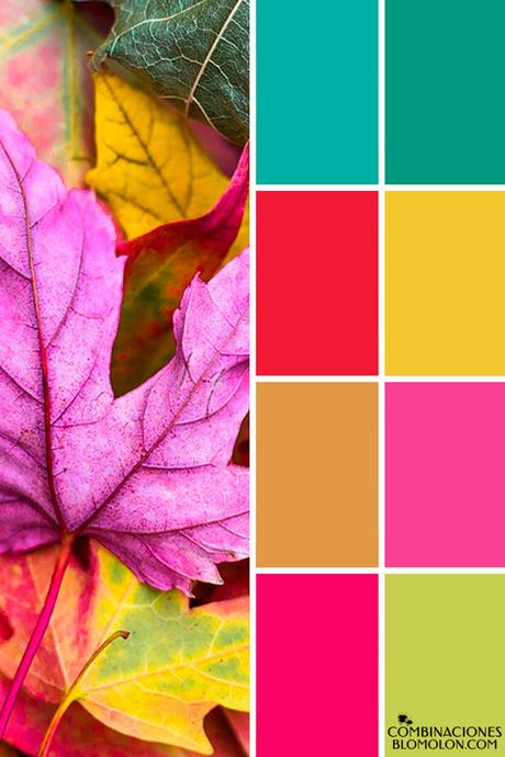 Paletas De Colores 19 Variedad De Temporada
