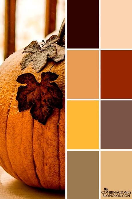 Paletas De Colores 19 Variedad De Temporada