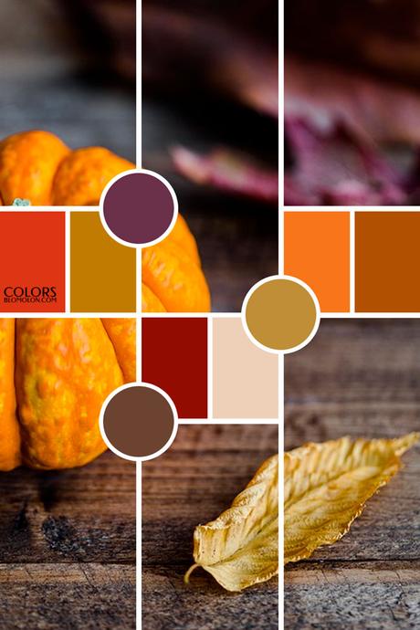 Paletas De Colores 19 Variedad De Temporada