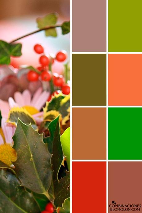 Paletas De Colores 19 Variedad De Temporada