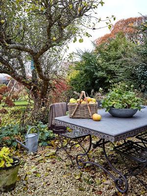 Areas de Descanso Rustico