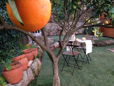 Areas de Descanso Rustico