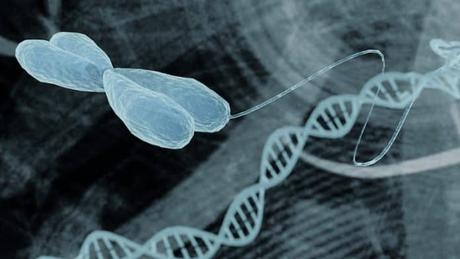La meditación podría retrasar la degradación del ADN
