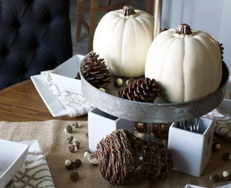 Mi preferida es la Patisson…