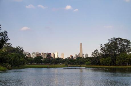 São Paulo monumental y abandonado