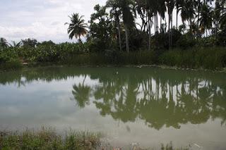 El Cachón El Tanque de Neiba en completo abandono.