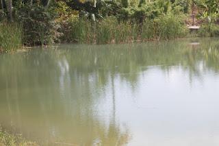 El Cachón El Tanque de Neiba en completo abandono.