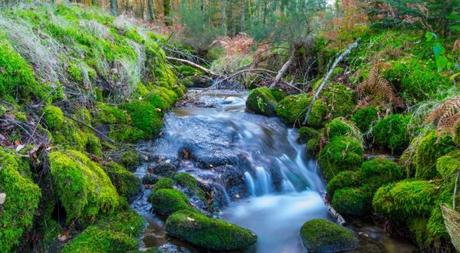 Naturaleza 10-razones-para-creer-que-dios-existe