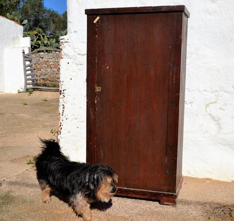 DIY - ANTES Y DESPUÉS DE UN ARMARIO ANTIGUO