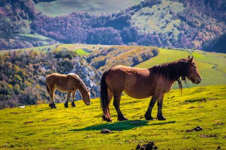 España, Navarra, Pirineo