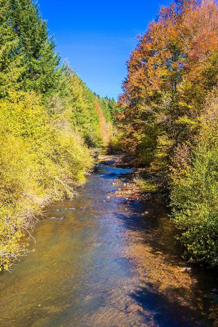 Selva de Irati España, Navarra, Pirineo