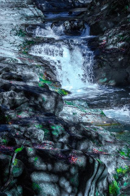 Selva de Irati España, Navarra, Pirineo