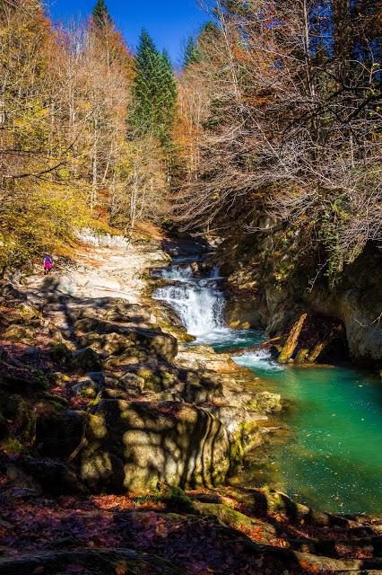 Selva de Irati España, Navarra, Pirineo