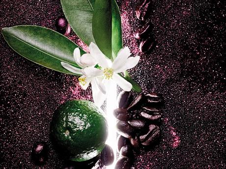 Black Opium Pure Illusion, Nueva Imagen en Edición Exclusiva de Todo un Clásico en el Universo de las Fragancias