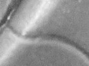 Warhammer Community hoy: Imagen misteriosa cambio estrategia