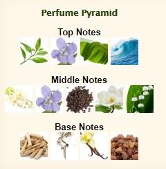 El Perfume del Mes – “Halloween” de J. DEL POZO