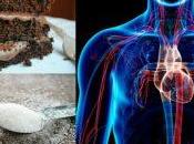 ¿Qué pasaría dejarás comer azúcar días?