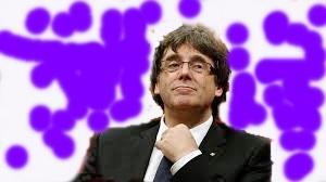 UNA MANCHA DE MORA EN BRUSELAS UNA MANCHA DE MORA EN BRUSELAS