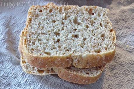 Pan de espelta y bagazo