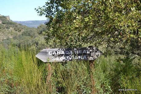 Trashumancia y Vías Pecuarias