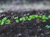 propuestas para añadir activos cartera scrip dividend.