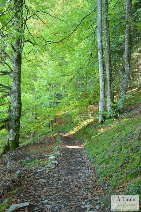 Sendeando por la Selva de Irati y Fábrica de Orbaitzeta