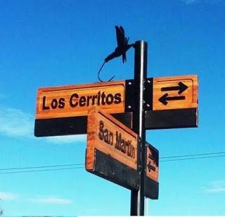 Llegaron los permisos de pesca a Piedra del Aguila Llegaron los permisos de pesca a Piedra del Aguila