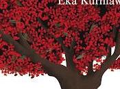 belleza herida Kurniawan