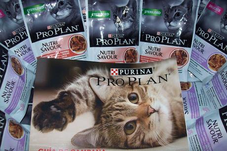 Probando Purina pro Plan Nutrisavour gracias a Youzz Probando Purina pro Plan Nutrisavour gracias a Youzz