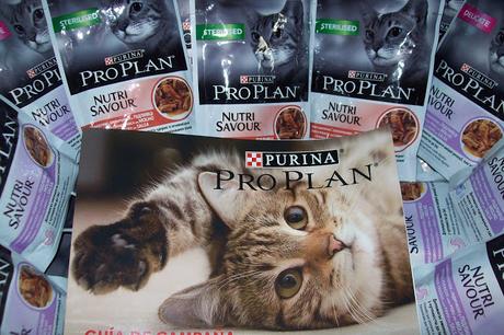 Probando Purina pro Plan Nutrisavour gracias a Youzz