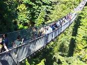 Tips para visitar Capilano Bridge Vancouver