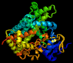 Proteina CYP2C19 del citocromo P450