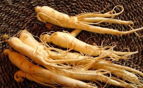 El milagro asiático! Conoce todo sobre el ginseng coreano, una poderosa planta