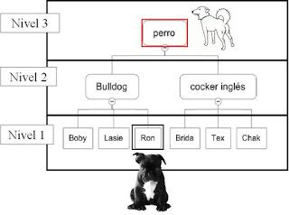 ARGUMENTO: “Los animales no tienen pensamiento abstracto” ARGUMENTO: “Los animales no tienen pensamiento abstracto”