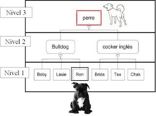 ARGUMENTO: “Los animales no tienen pensamiento abstracto”