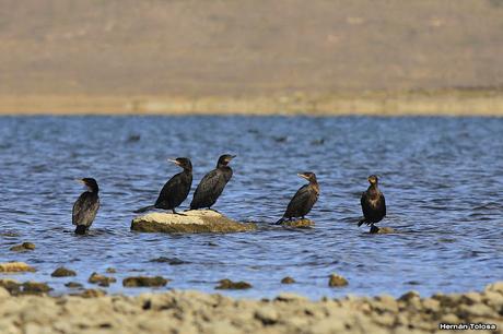 Parque Nacional Laguna Blanca (abril de 2017)