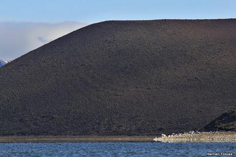 Parque Nacional Laguna Blanca (abril de 2017) Parque Nacional Laguna Blanca (abril de 2017)