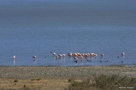 Parque Nacional Laguna Blanca (abril de 2017) Parque Nacional Laguna Blanca (abril de 2017)