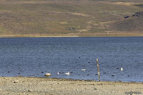 Parque Nacional Laguna Blanca (abril de 2017) Parque Nacional Laguna Blanca (abril de 2017)