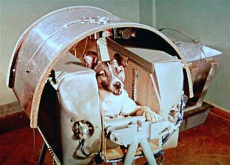 Se cumplen 60 años del primer lanzamiento de un ser vivo al espacio: La perrita Laika