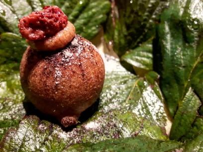 CEBO. una experiencia gastronómica memorable