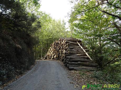 Ruta Pomar de las Montañas: Camino a Pomar de las Montañas