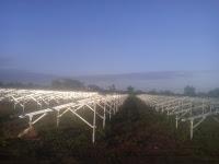 parque-fotovoltaico-manati parque-fotovoltaico-manati