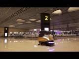 Abre aeropuerto changi singapur