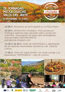 IX Jornadas Micológicas Valle del Jerte (12 noviembre 2017) IX Jornadas Micológicas Valle del Jerte (12 noviembre 2017)