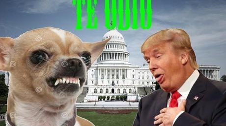 ¿Será que el perro de Trump renunció? trump-y-el-perro