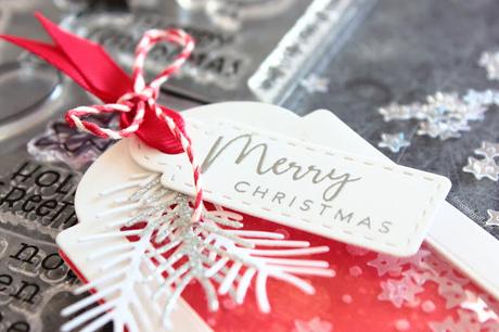 Christmas SHAKER TAG Christmas SHAKER TAG