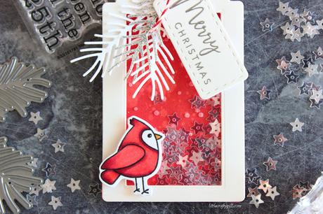 Christmas SHAKER TAG Christmas SHAKER TAG