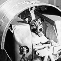 Por qué la perra Laika fue la primera en volar al espacio